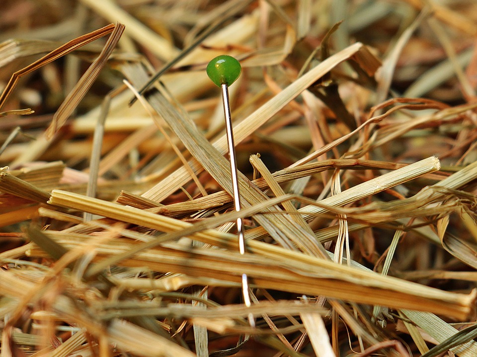 Hunting for a needle in a haystack Scientists identify the gene that causes ARSACS National