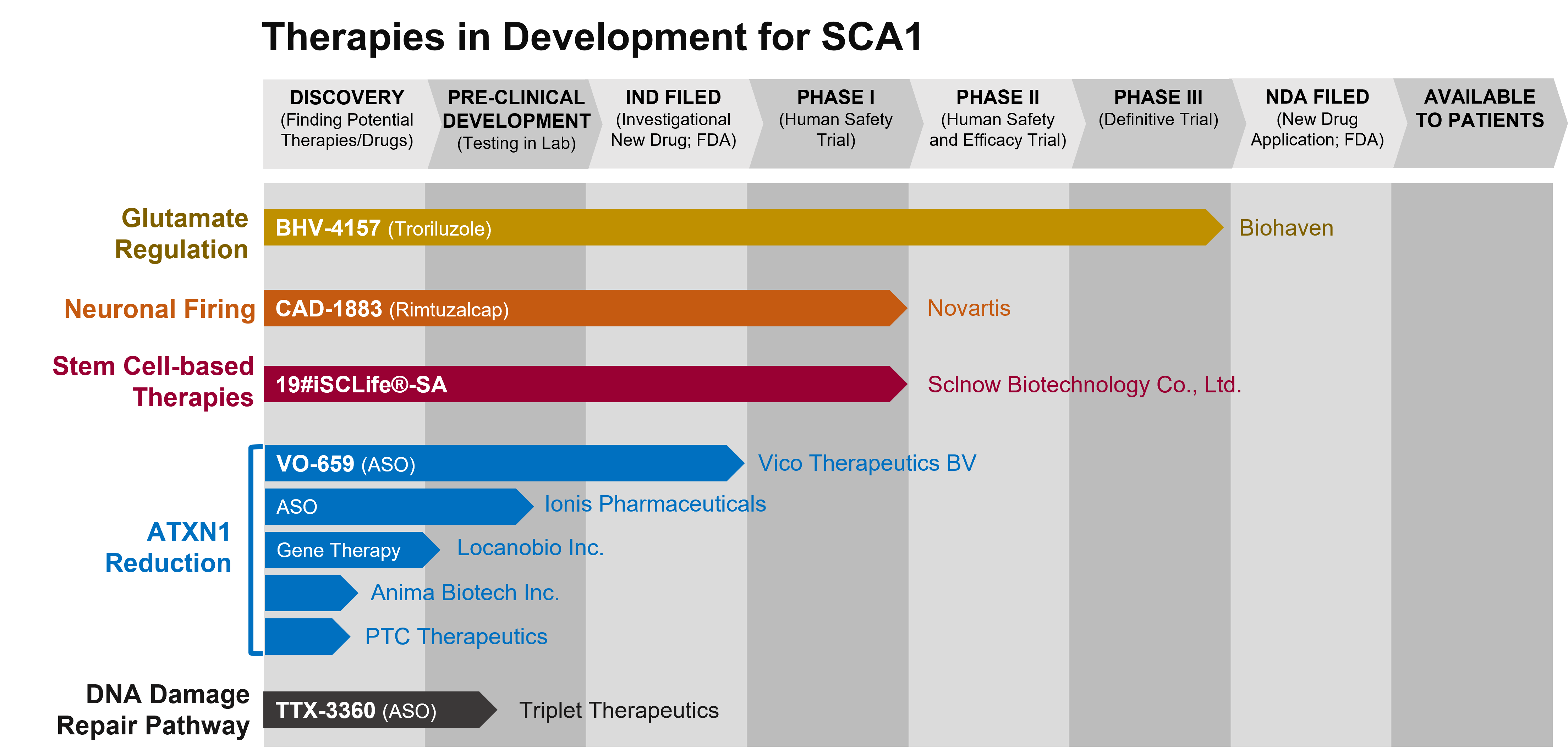 Graph depicting the phase of drug development for various drugs to treat SCA1