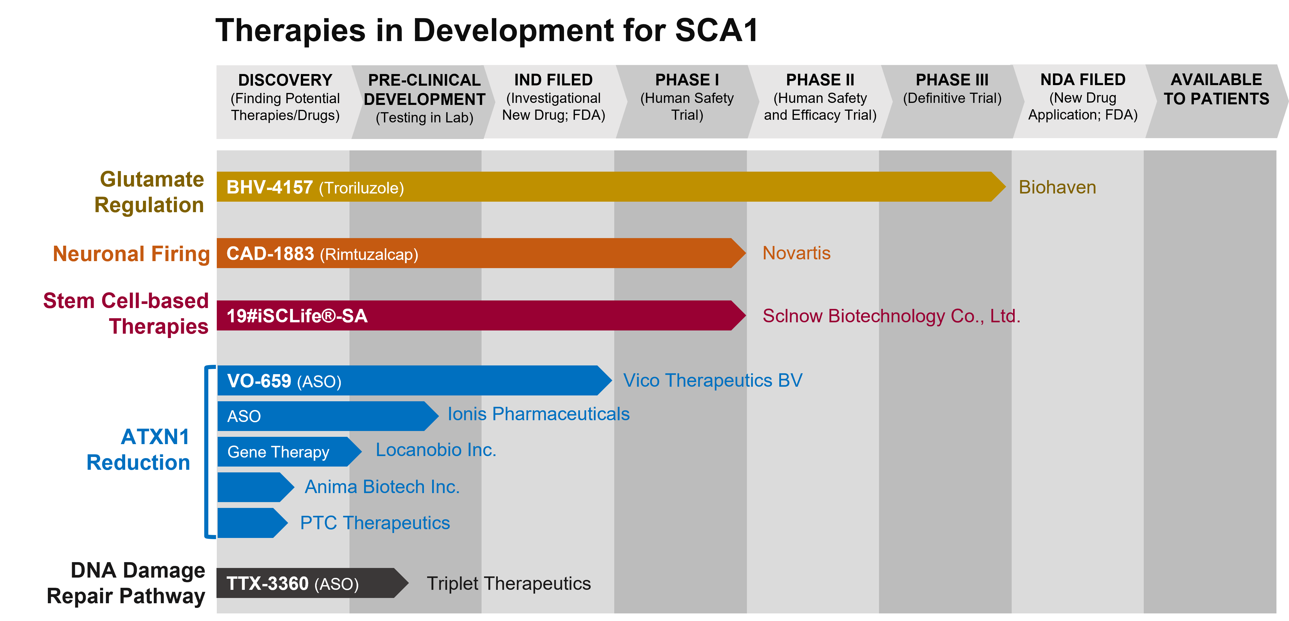 Graph depicting the phase of drug development for various drugs to treat SCA1