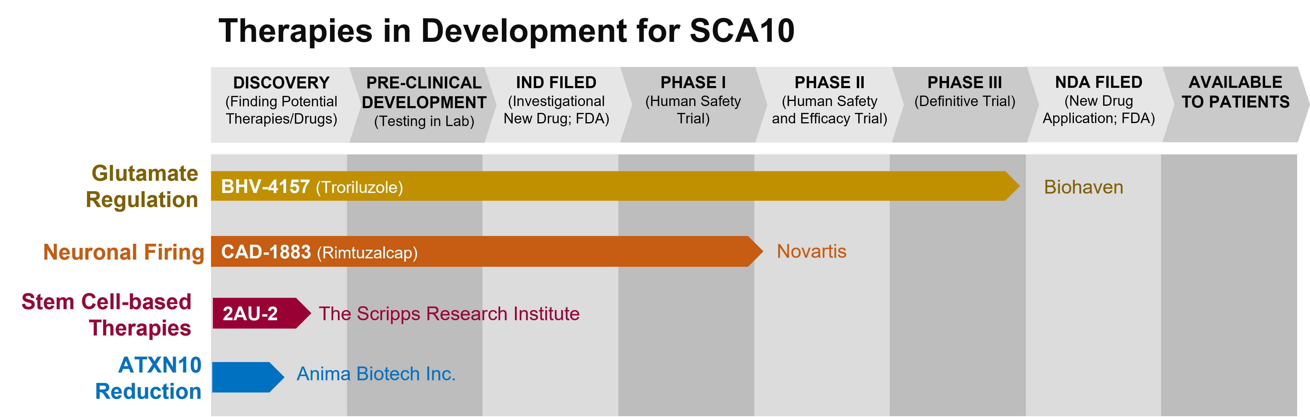 Graph depicting the phase of drug development for various drugs to treat SCA10