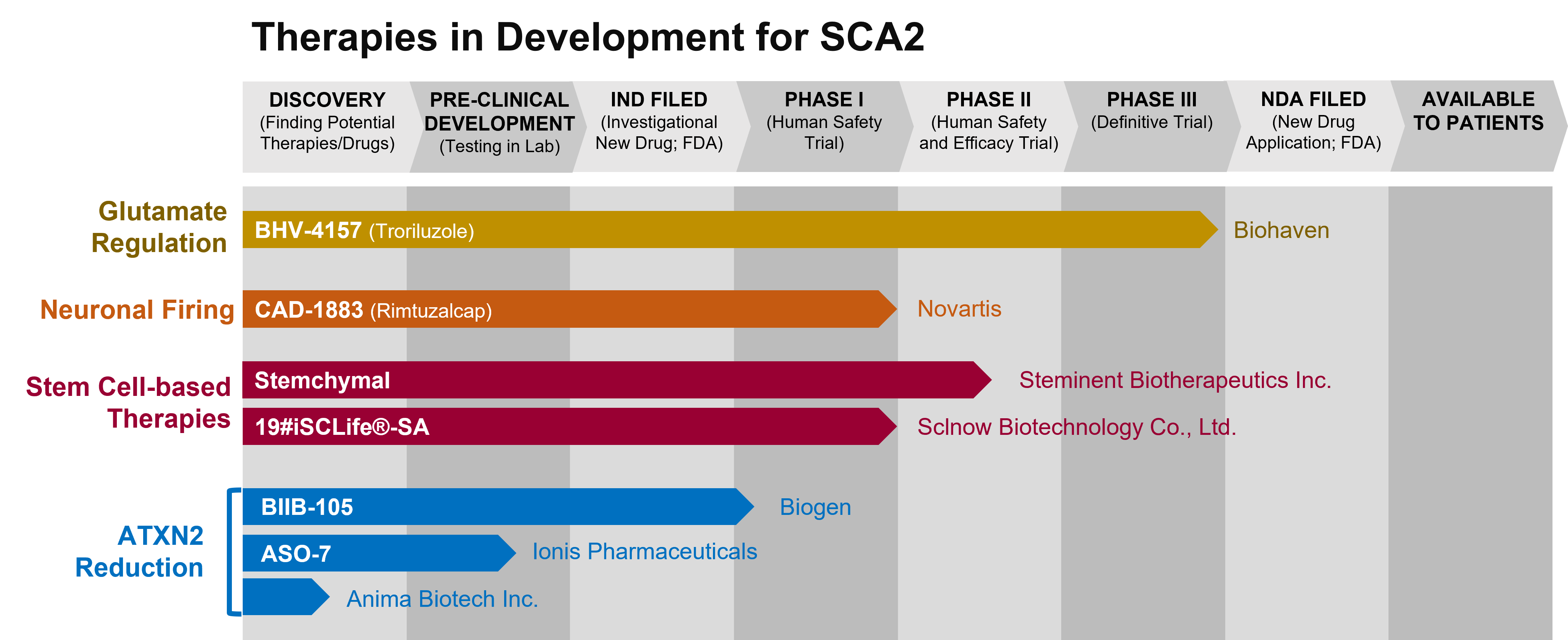 Graph depicting the phase of drug development for various drugs to treat SCA2