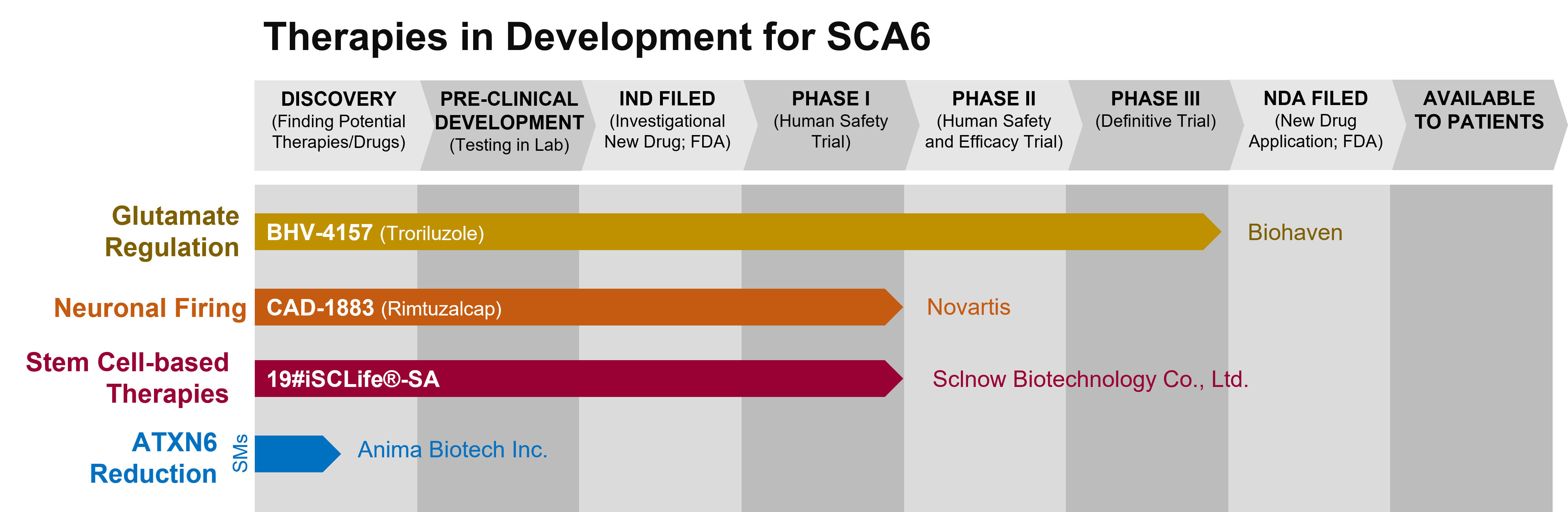 Graph depicting the phase of drug development for various drugs to treat SCA6