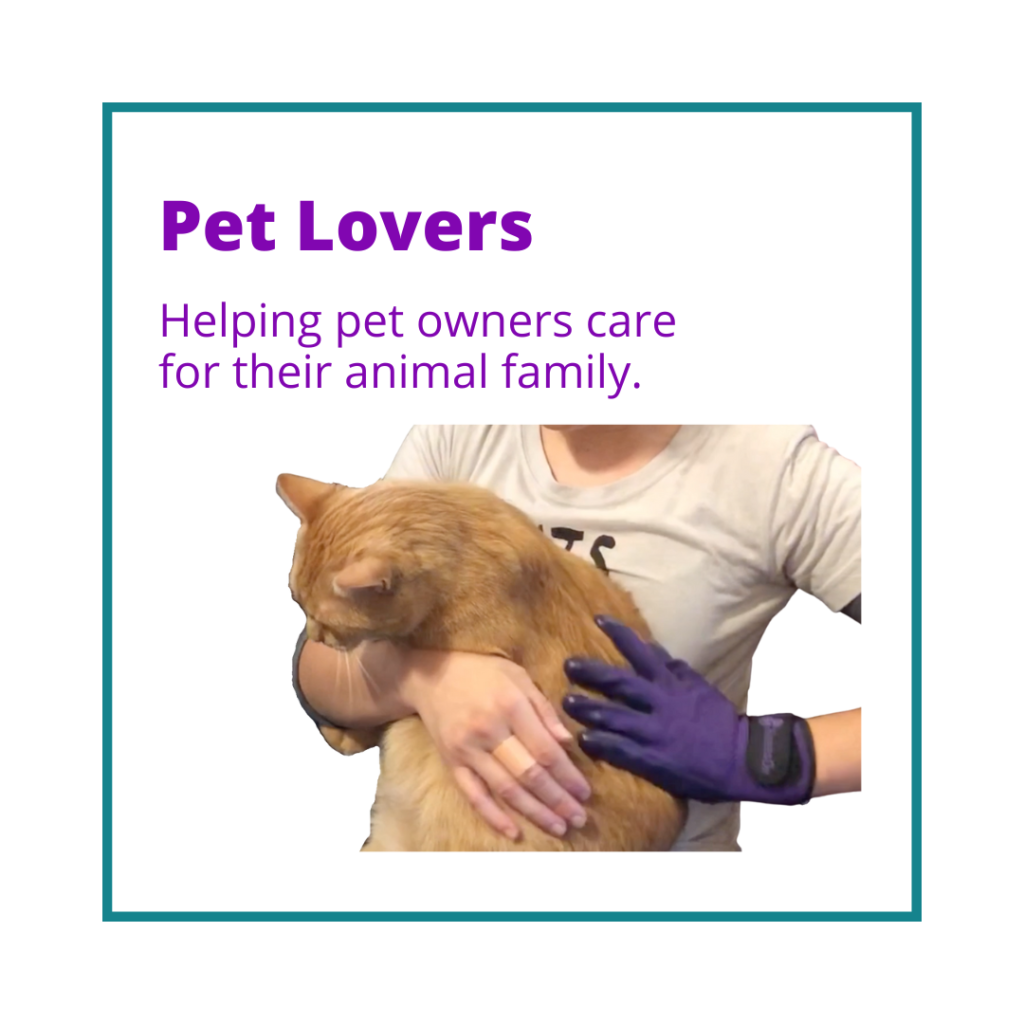 A person is wearing a purple glove and stroking an orange cat.