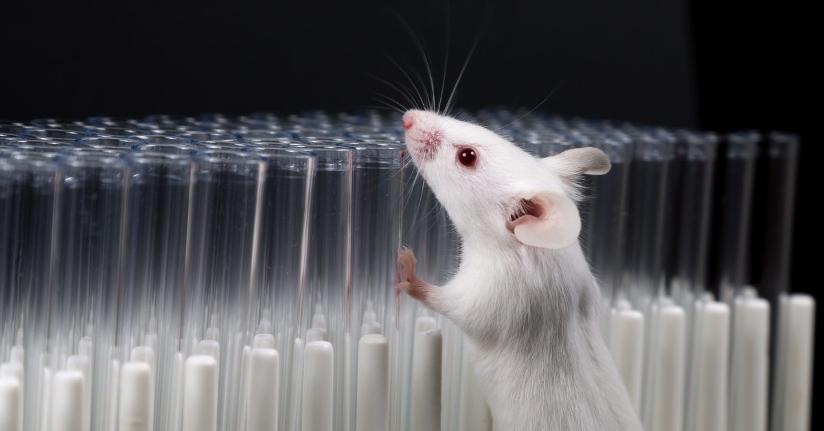 Lab Mouse Featured Image (1)