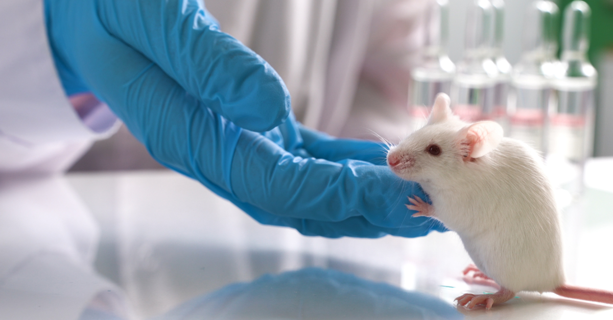 本 【洋書・専門書】Mouse Genetics and Transgenics