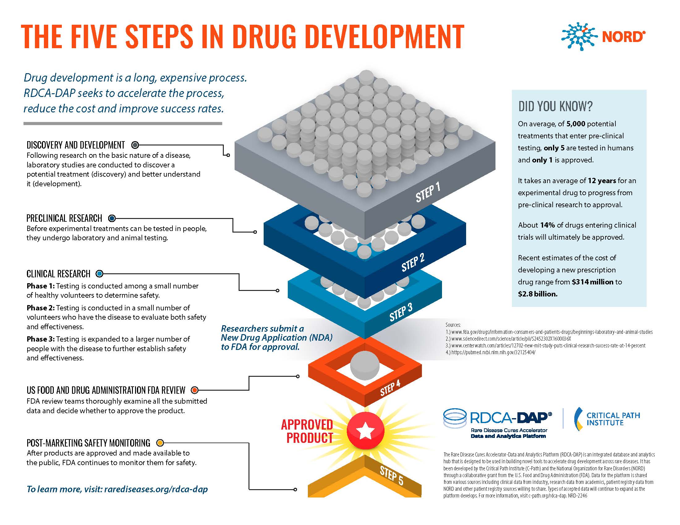Illustration of the five steps in drug development