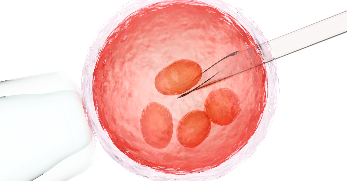 Embryo Featured Image
