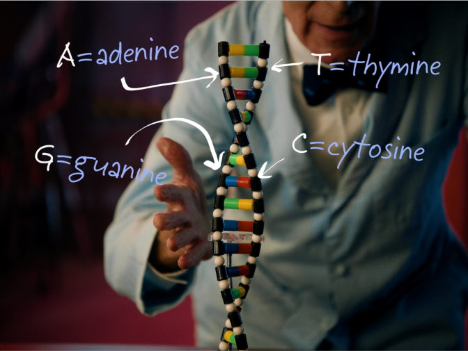 DNA Sequence described by Bill Nye
